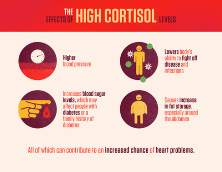 Cortisol Infographic