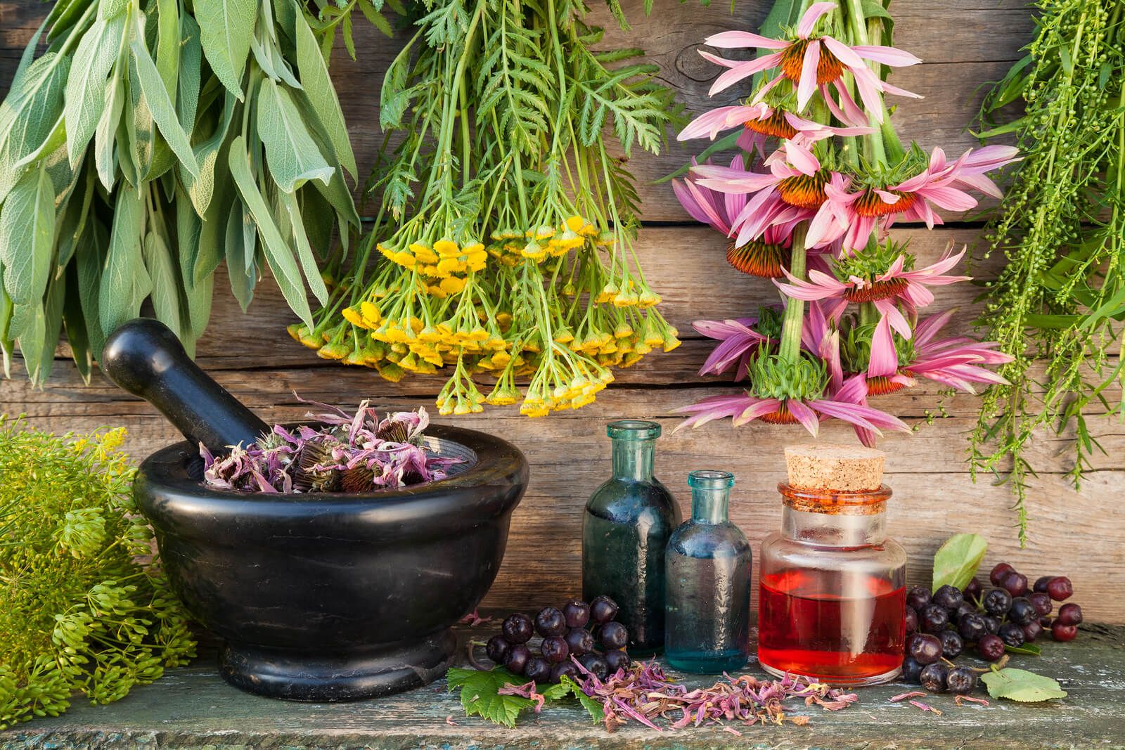 Herbs in a mortar and essential oils in bottles